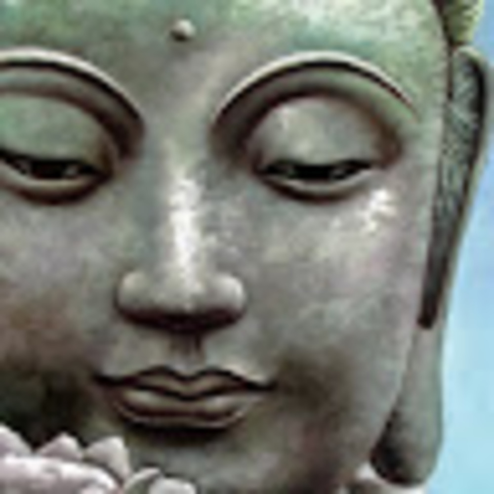 Meet your Posher, Heidi